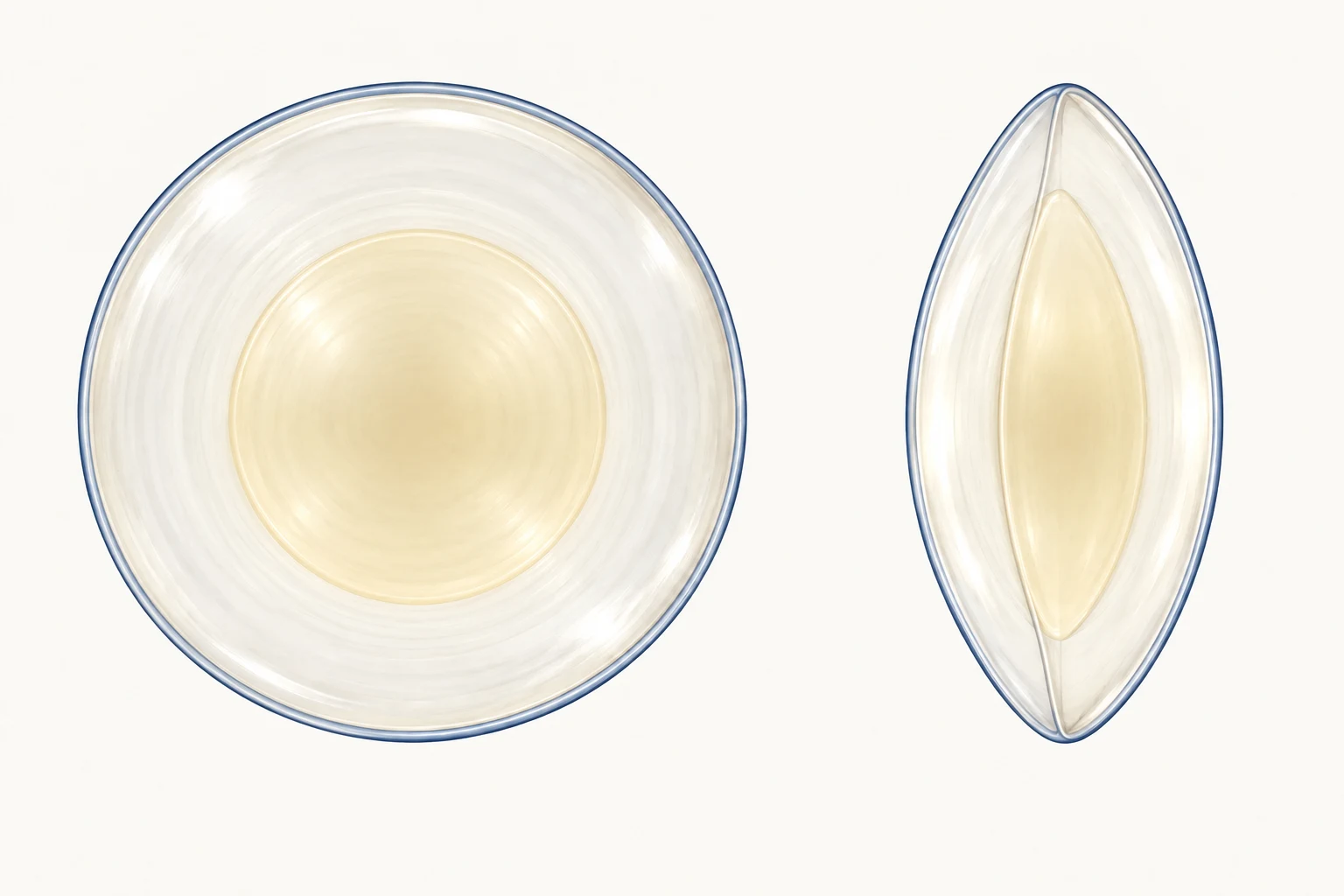 Front-on and side optical-section views of a clear natural lens, identifying its central nucleus, surrounding cortex, anterior capsule and posterior capsule.
